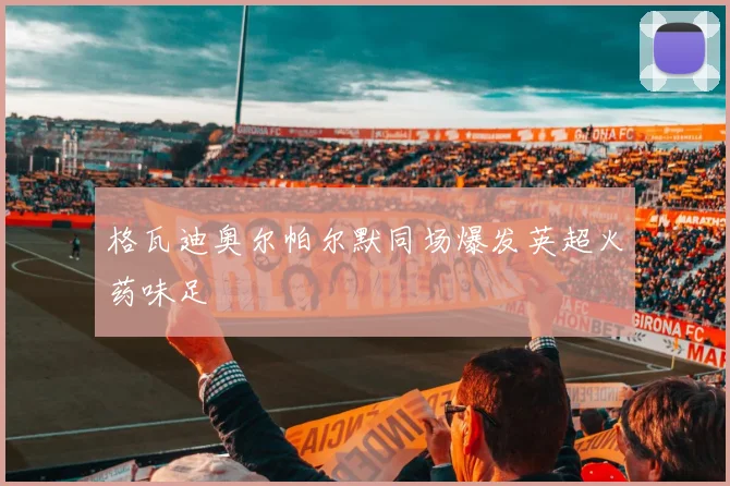 格瓦迪奥尔帕尔默同场爆发英超火药味足