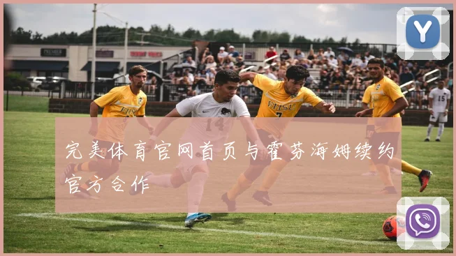 完美体育官网首页与霍芬海姆续约官方合作