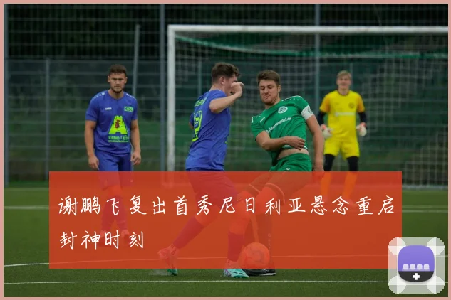 谢鹏飞复出首秀尼日利亚悬念重启封神时刻