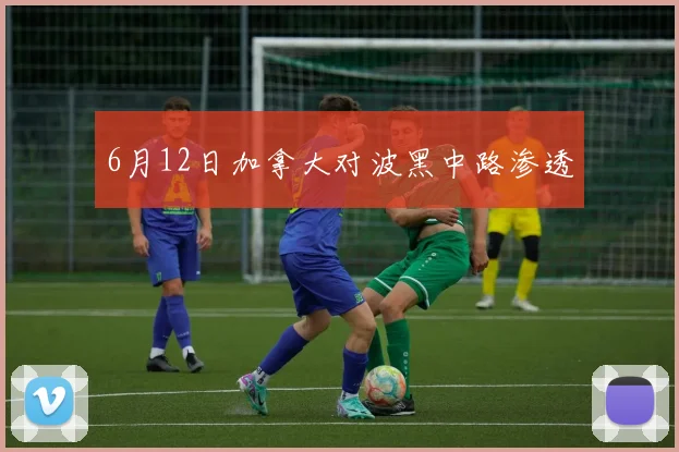 6月12日加拿大对波黑中路渗透