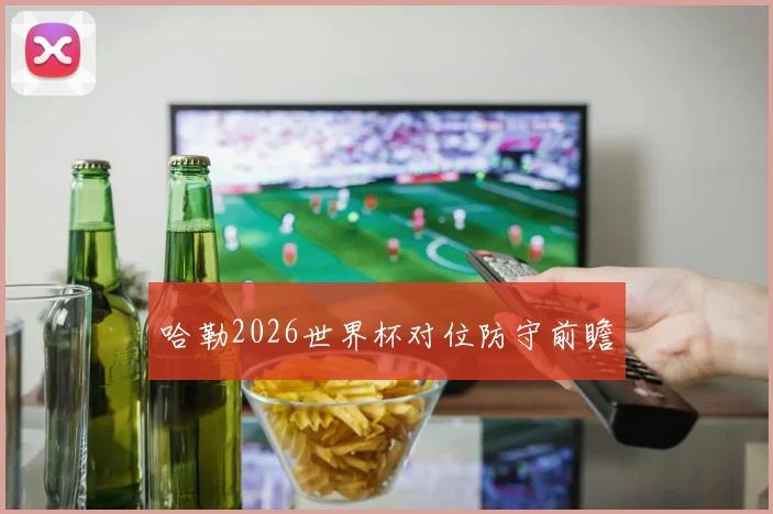 哈勒2026世界杯对位防守前瞻