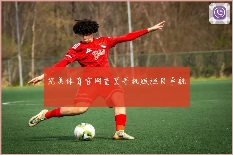 完美体育官网首页手机版栏目导航