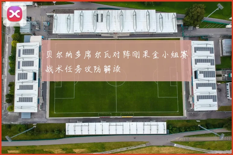 贝尔纳多席尔瓦对阵刚果金小组赛战术任务攻防解读